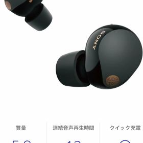 WF-1000XM5 (B) [ブラック]