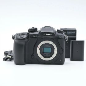 Panasonic パナソニック LUMIX DC-GH5-K ボディ ブラック ミラーレス一眼レフカメラ【中古】