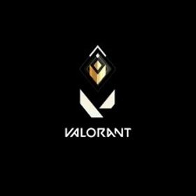 ⛄【最安値！】VALORANT代行実績作り格安で行います！！⛄ | 伝説対決 -Arena of Valor-の代行、RMTの販売・買取一覧