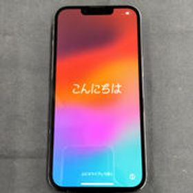 DOCOMO IPHONE13 PRO MLUK3J/A APPLE