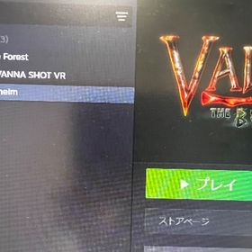 valheim と the forest | Steamのアカウントデータ、RMTの販売・買取一覧