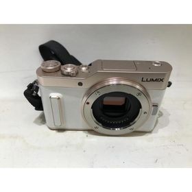 パナソニック Panasonic ミラーレス一眼 DC-GF10W-D ダブルレンズキット