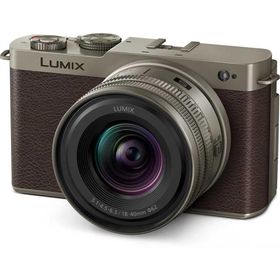 パナソニック フルサイズミラーレス一眼カメラ「LUMIX DC-S9」広角ズームレンズキット(チタンゴールド) Panasonic DC-S9N-N 返品種別A