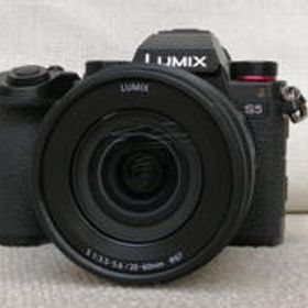 ミラーレス一眼 レンズキット DC-S5K PANASONIC