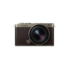 デジタルカメラ パナソニック LUMIX S9 小型 軽量 コンパクト 付属レンズ付 リアルタイムLUT 新色 N デジタル一眼カメラ/レンズキット DC-S9N チタンゴールド