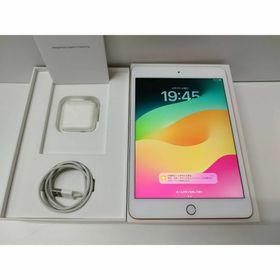 iPad mini 第5世代/Wi-Fi+セルラー/64GB/A2124(タブレット)