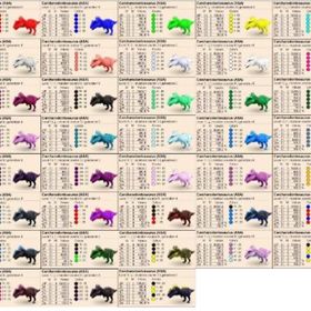 公式pve 🌟カラーカルカロ🌟クローン | ARK Survival Evolvedのアカウントデータ、RMTの販売・買取一覧