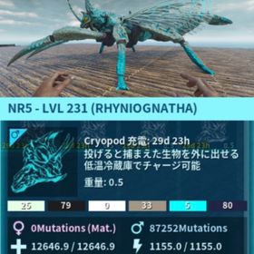公式pve リニオグナタ インプリ100%成体 | ARK Survival Evolvedのアカウントデータ、RMTの販売・買取一覧