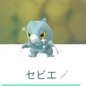 色違いセビエ トレード | ポケモンGOのアカウントデータ、RMTの販売・買取一覧