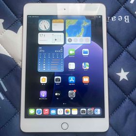 アップル(Apple)のiPad mini 第5世代 64GB(タブレット)