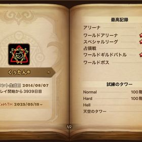 超有名ギルド所属アカウント | サマナーズウォーのアカウントデータ、RMTの販売・買取一覧