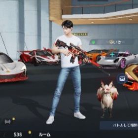 荒野引退放置垢 3.3万円 | 荒野行動のアカウントデータ、RMTの販売・買取一覧