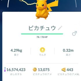 【色違い✨️在庫1点のみ】緑冠 ピカチュウ トレード | ポケモンGOのアカウントデータ、RMTの販売・買取一覧