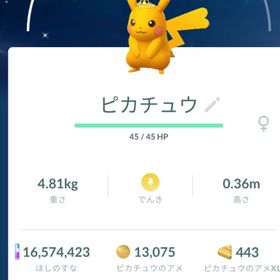 【色違い✨️在庫1点のみ】黄色冠 ピカチュウ トレード | ポケモンGOのアカウントデータ、RMTの販売・買取一覧