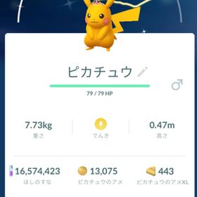 【色違い✨️在庫1点のみ】赤冠ピカチュウ トレード | ポケモンGOのアカウントデータ、RMTの販売・買取一覧