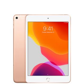 【美品・Bランク】 SIMフリー Apple iPad mini 第5世代 64GB ゴールド ACアダプターとケーブル付き