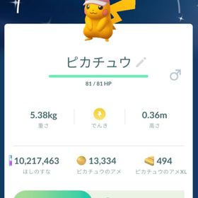 【色違い✨️】メイバイザー ピカチュウ♂ トレード | ポケモンGOのアカウントデータ、RMTの販売・買取一覧