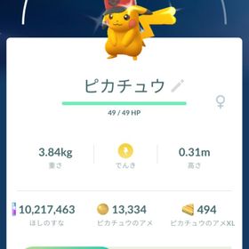 【色違い✨️】トウヤ帽子 ピカチュウ トレード | ポケモンGOのアカウントデータ、RMTの販売・買取一覧
