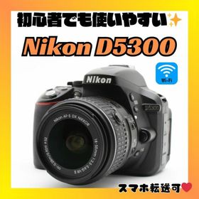 ニコン(Nikon)の初心者さんオススメ Nikon D5300 一眼レフカメラ Wi-Fi対応(デジタル一眼)