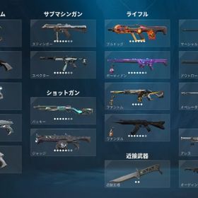 引退アカウント | VALORANT(ヴァロラント)のアカウントデータ、RMTの販売・買取一覧