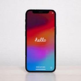 Apple / iPhone12 mini (動作確認済)