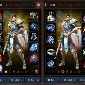 LV90 神聖剣士 ★ 非刻印装備多数 ★ | リネージュM(リネM)のアカウントデータ、RMTの販売・買取一覧