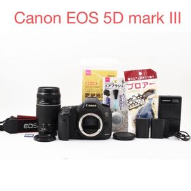 デジタル一眼レフカメラCanon EOS 5D mark III望遠レンズセット(デジタル一眼)
