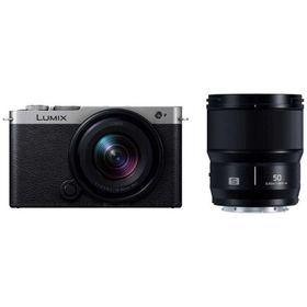 パナソニック Panasonic LUMIX S9 広角ズームレンズ・単焦点レンズキット ミラーレス一眼カメラ ［ズームレンズ＋単焦点レンズ］ ダークシルバー DC-S9W-S