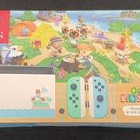 NINTENDO SWITCH HAD-S-KEAGC NINTENDO