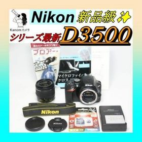 Nikon D3500 ⭐S回数258回 新品級⭐最新モデル 極上美品 一眼レフ(デジタル一眼)
