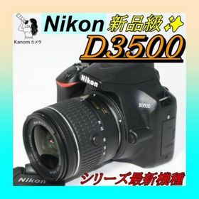 S回数少 新品級⭐最新モデル！ Nikon D3500 ⭐極上美品 一眼レフ(デジタル一眼)