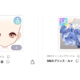 3時のティーカッププードルSR2点♂ | ピュアニスタのアイテム、RMTの販売・買取一覧