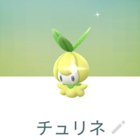 色違いチュリネ トレード XS XL | ポケモンGOのアカウントデータ、RMTの販売・買取一覧