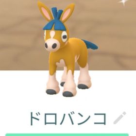 色違いドロバンコ トレード XS XL XXL 通常色ペア500円 | ポケモンGOのアカウントデータ、RMTの販売・買取一覧