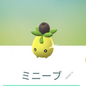 色違いミニーブ トレード | ポケモンGOのアカウントデータ、RMTの販売・買取一覧