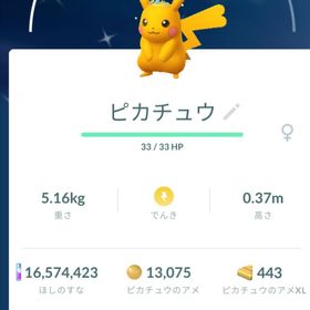 【色違い✨️在庫1点のみ】青冠ピカチュウ トレード | ポケモンGOのアカウントデータ、RMTの販売・買取一覧