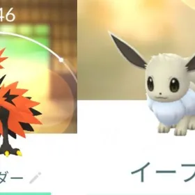 7810【PTC】国産！ガラルサンダー、色違いイーブイ21匹 | ポケモンGOのアカウントデータ、RMTの販売・買取一覧