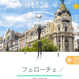 【トレード販売】ロケカ付きポケモン 背景 | ポケモンGOのアカウントデータ、RMTの販売・買取一覧