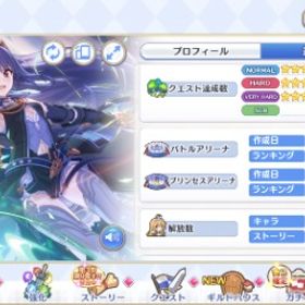 最終大幅！値下げ！ージュエル10万 引退アカウント | プリンセスコネクト(プリコネR)のアカウントデータ、RMTの販売・買取一覧