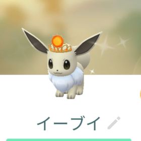 色違い太陽の冠 月の冠 イーブイ トレード XS XL | ポケモンGOのアカウントデータ、RMTの販売・買取一覧
