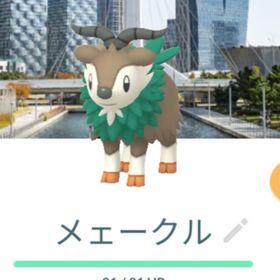 メェークル 仁川背景 トレード XS XXL | ポケモンGOのアカウントデータ、RMTの販売・買取一覧