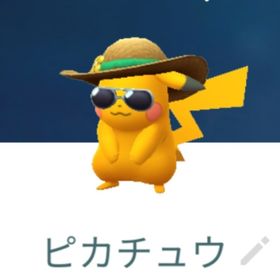 色違い サマースタイルピカチュウ トレード | ポケモンGOのアカウントデータ、RMTの販売・買取一覧