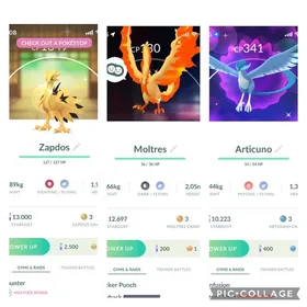 🔥✨色違い ガラル３鳥※ファイヤー、サンダー、フリーザー | ポケモンGOのアカウントデータ、RMTの販売・買取一覧