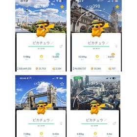 [非対面トレード]色違い✨ピカチュウロードトリップ2025背景 | ポケモンGOのアカウントデータ、RMTの販売・買取一覧