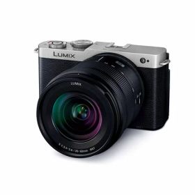 Panasonic デジタル一眼カメラ LUMIX DC-S9K-S 標準ズームレンズキット ダークシルバー 【訳あり：倉庫移動中に外箱傷あり】