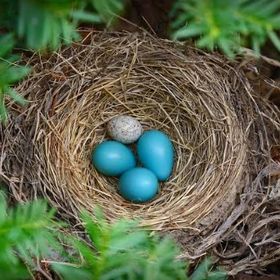 放射高校代行致します！ | ライフアフター(Lifeafter)の代行、RMTの販売・買取一覧