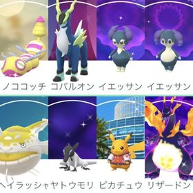 【色違い】イーブイ、キテルグマ、オーロンゲ、アンノーンW、ルギア、ベロバー、ミブリム、ピッピ | ポケモンGOのアカウントデータ、RMTの販売・買取一覧