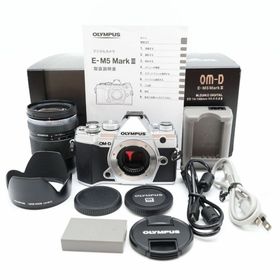 オリンパス(OLYMPUS)のOM-D E-M5 MarkIII 14-150mm II 番:523(その他)