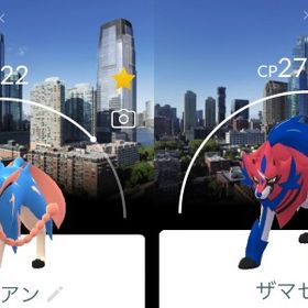 【非対面トレード】GoFestアメリカ🇺🇸背景ザシアン・ザマゼンタ | ポケモンGOのアカウントデータ、RMTの販売・買取一覧