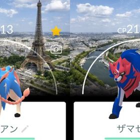 【非対面トレード】GOFestパリ🇫🇷背景ザシアン・ザマゼンタ | ポケモンGOのアカウントデータ、RMTの販売・買取一覧
